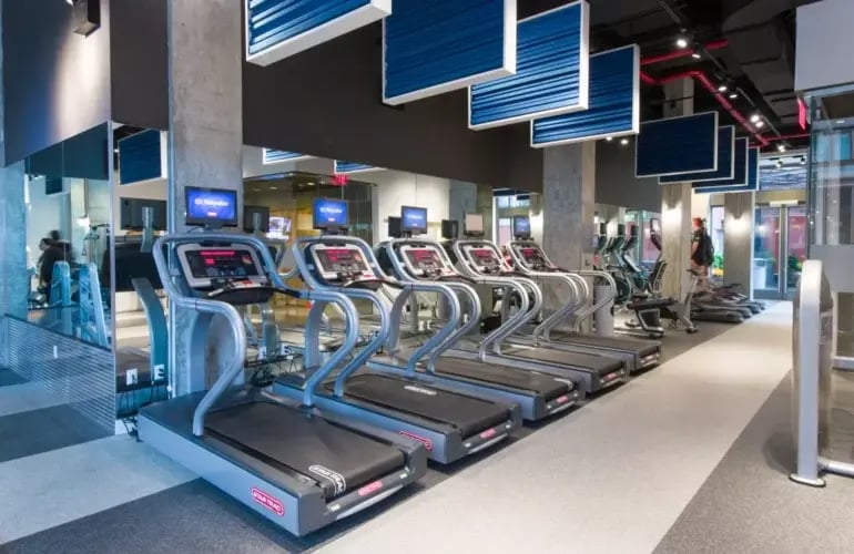 AVA High Line Star Trac