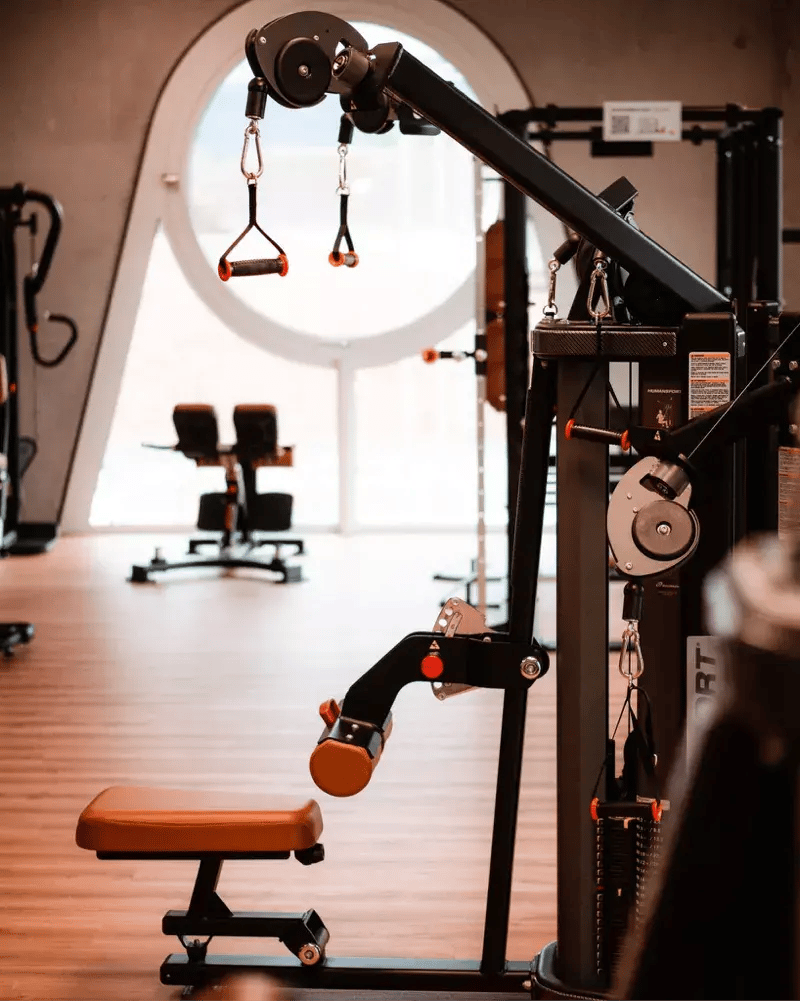 Força 1- HumanSport