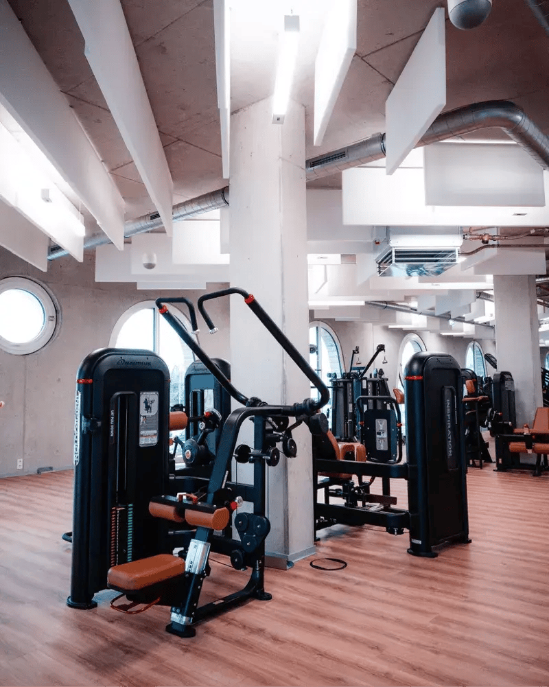 Força 2- Adam & Eve Alemanha Nautilus Inspiration 2