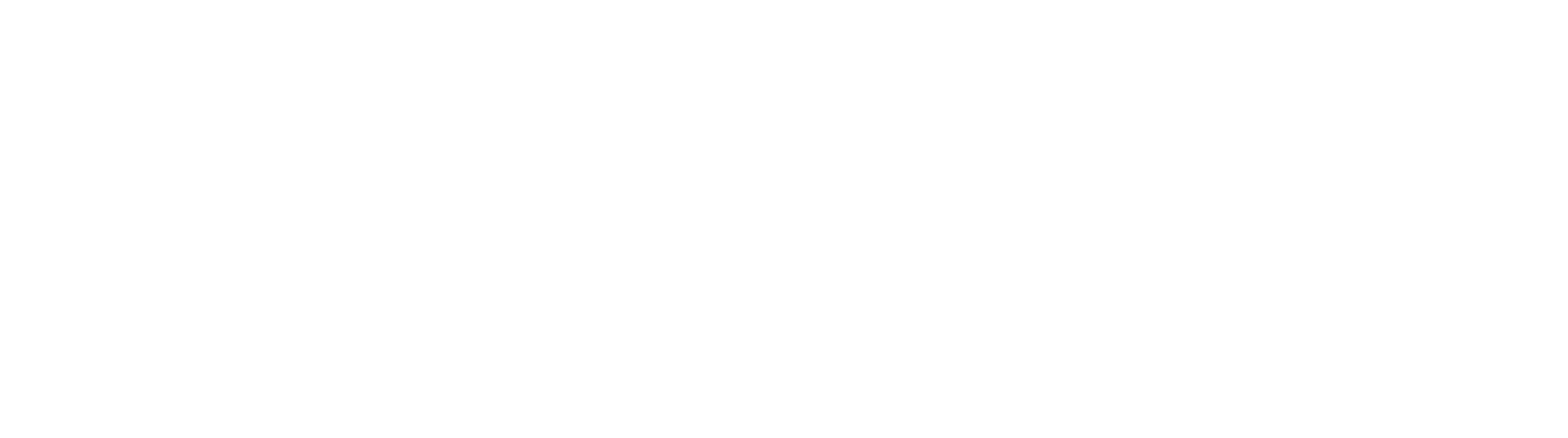 2026_Logotipo Schwinn Branco-61