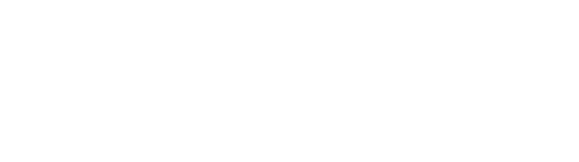 Logotipo branco do StairMaster