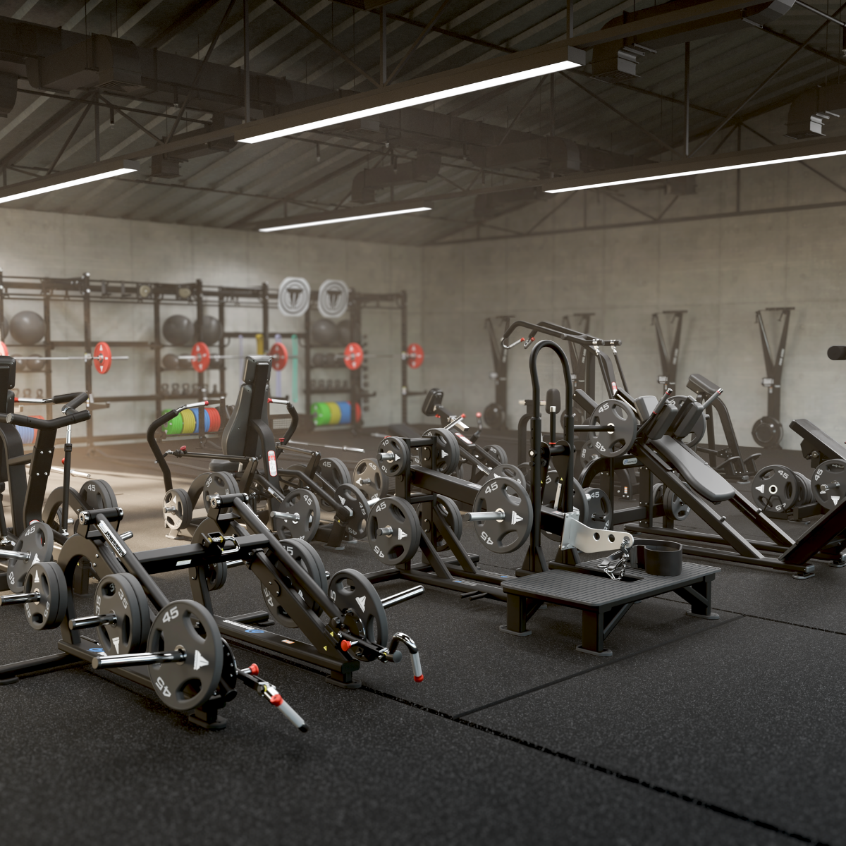 Da função ao desempenho: como Training de força estão moldando o futuro do fitness